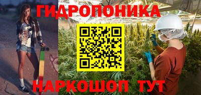 ECSTASY Лесосибирск