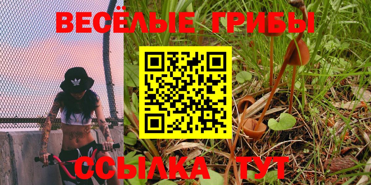 Галлюциногенные грибы мицелий Чебаркуль